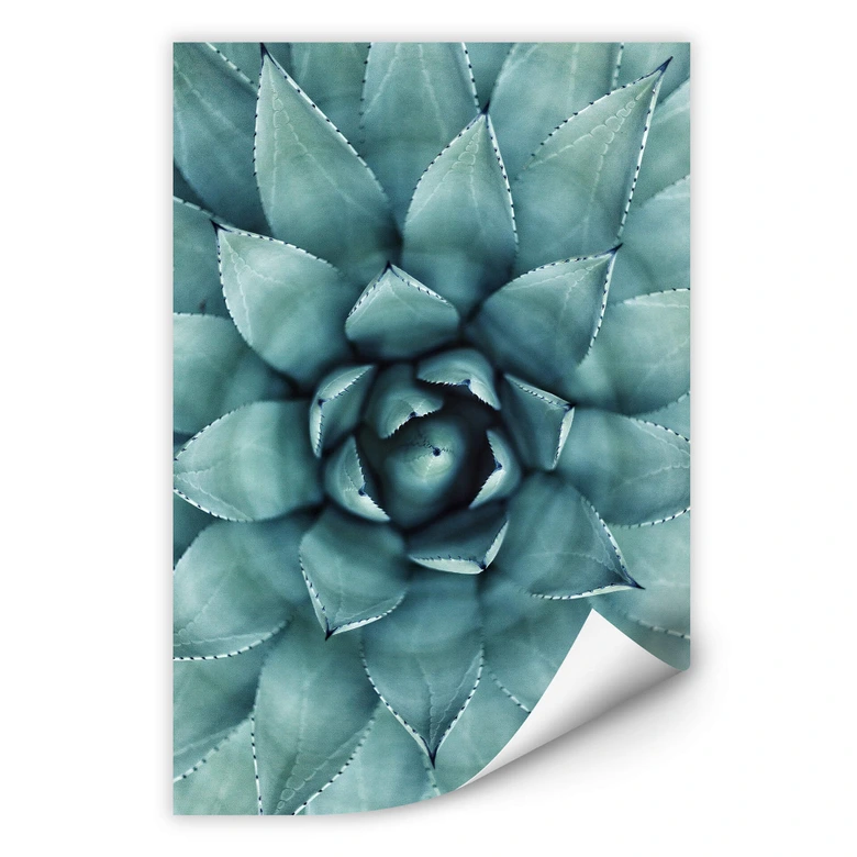 Wallprint Agave 02 