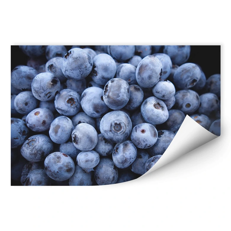 Wallprint - Blaubeeren 