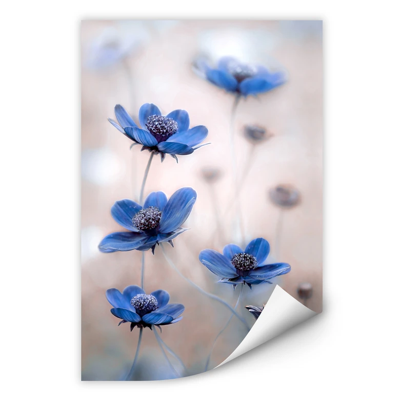 Wallprint Disher - Blue Cosmos 
