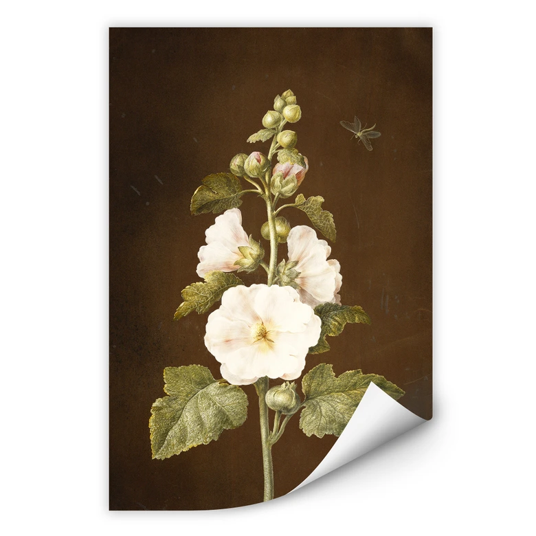 Wallprint - Dietzsch - Stockrose 