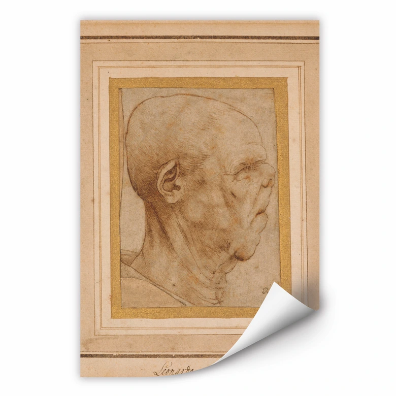 Wall print - Da Vinci - Caricature of a man head 