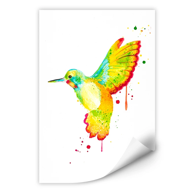 Wallprint - Buttafly - Kolibri 