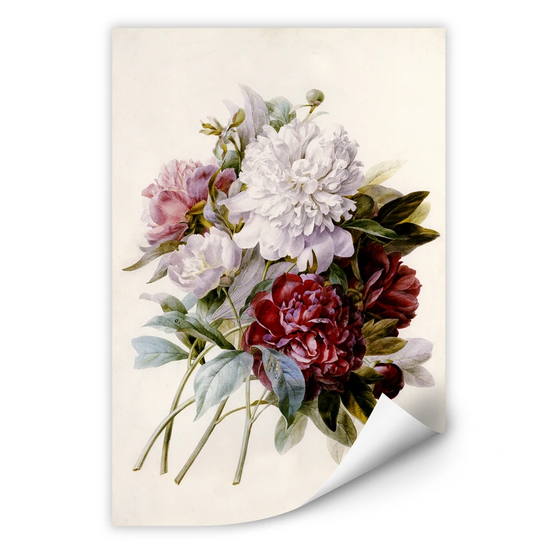 Wallprint Redouté - Strauss von roten, lila und weißen Pfingstrosen 