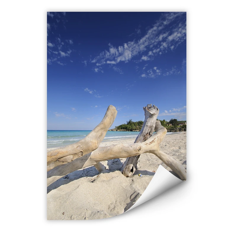 Wallprint - Treibgut 