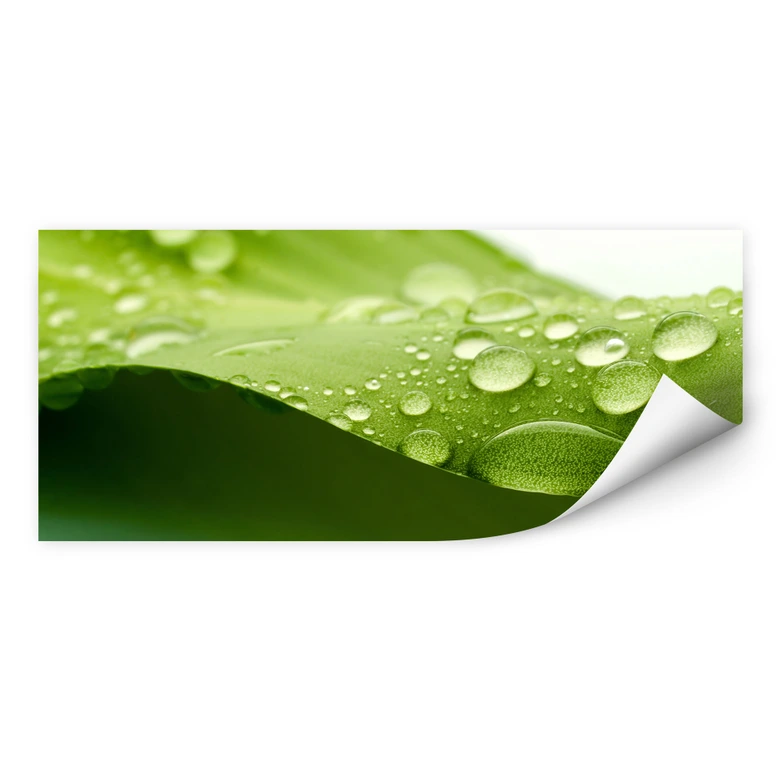 Muurprints - Natuur 3 