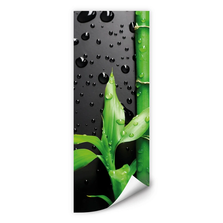 Wallprint W - Bamboo Over Black - Panorama 