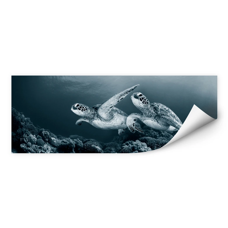 Wallprint Narchuk - Zwei Schildkröten auf Reisen 