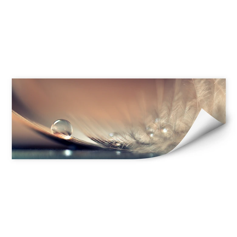Wallprint Dmitry - Story of a Waterdrop - Panorama 
