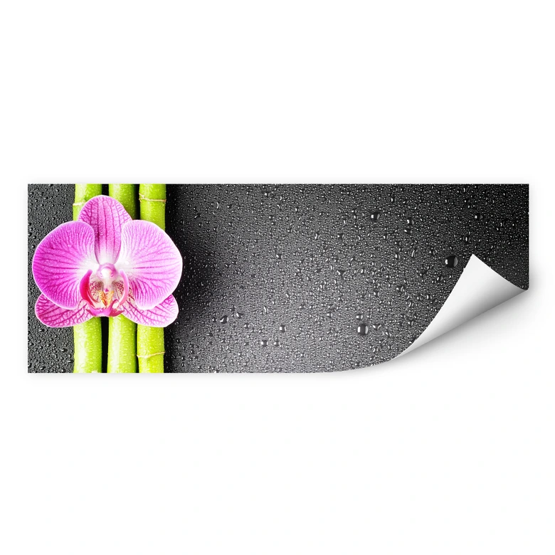 Wallprint W - Orchid and Bamboo - Panorama (horizontal) 