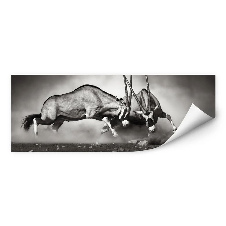 Wallprint Das Duell - Panorama 