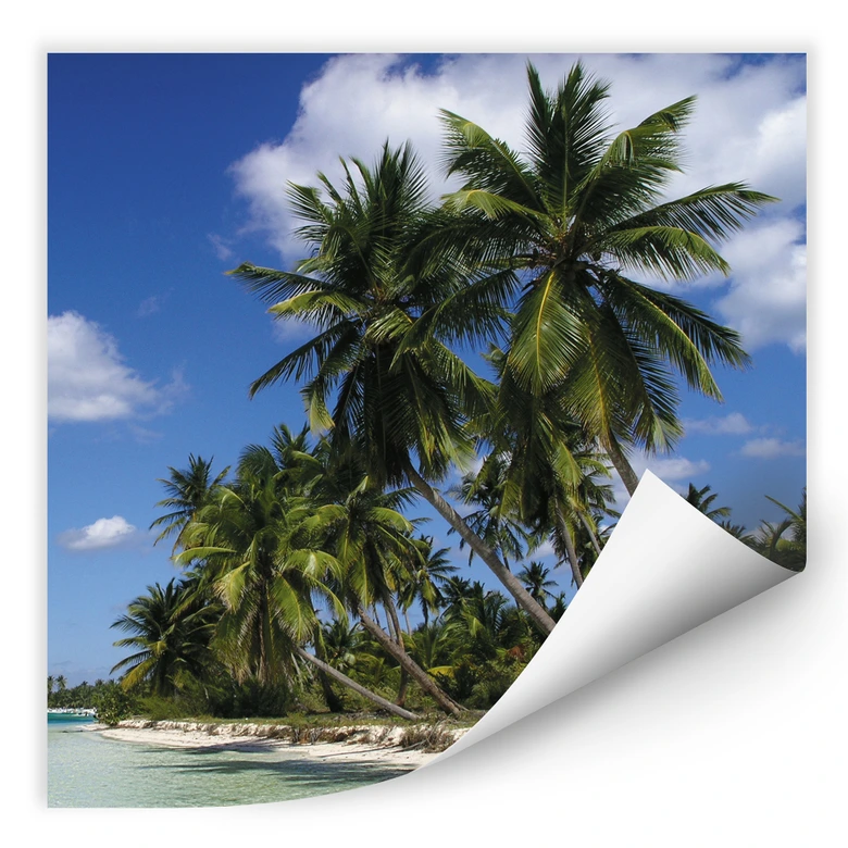 Wallprint - Carribean Flair - quadratisch 