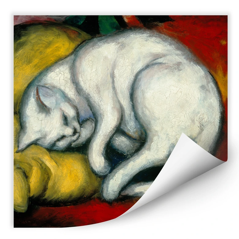 Wallprint - Marc - Die weiße Katze - quadratisch 
