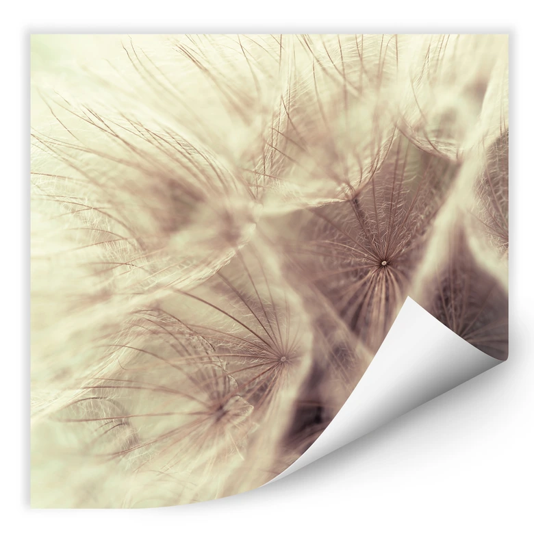 Wallprint - Pusteblume Close Up 