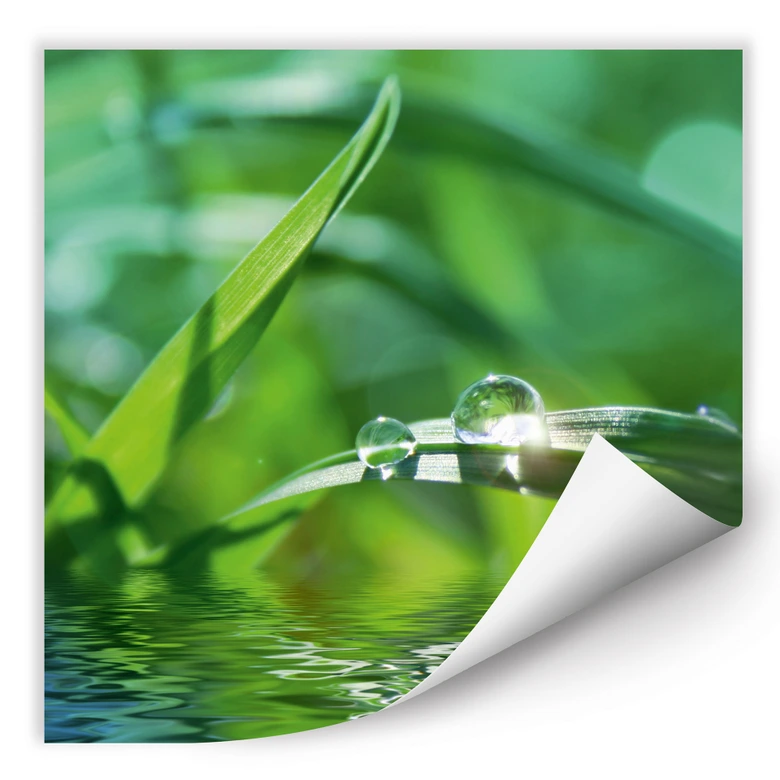 Wallprint W - Natur 6 