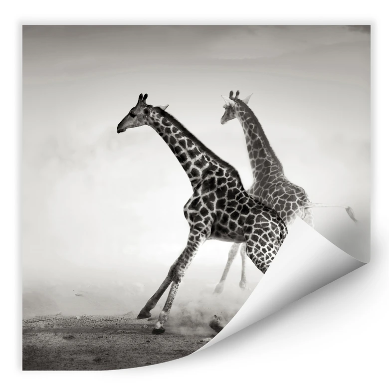Wallprint - Die Flucht 