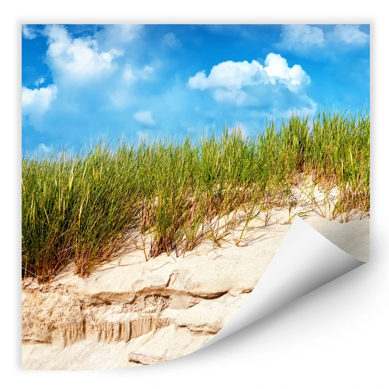 Wallprint - Ostsee Dünenlandschaft 