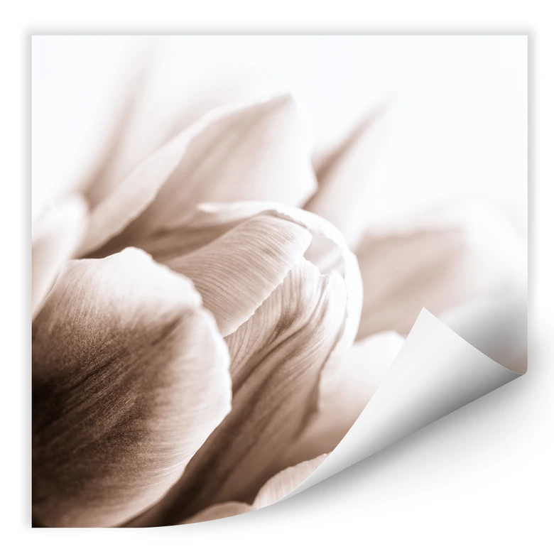 Wallprint - Tulpe im Detail - quadratisch 