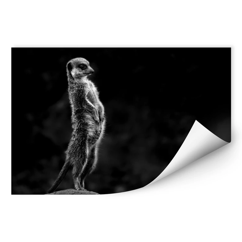 Wallprint van Son - Wachsamkeit 