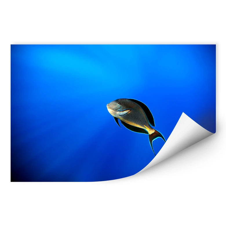 Wallprint Catta - Deep Ocean 