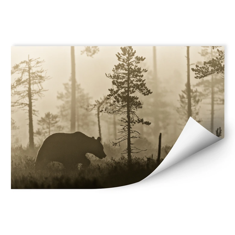 Wallprint Ove Linde - Nebel am Morgen 