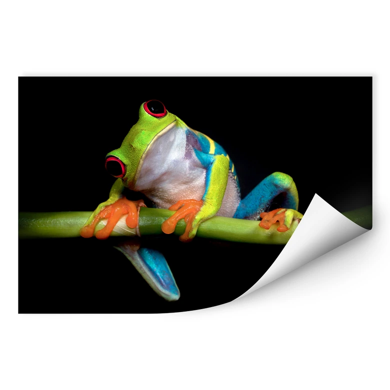 Wallprint Valverde - Green Frog 
