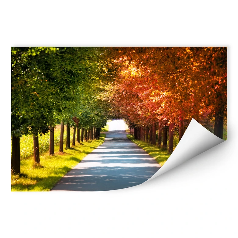 Wallprint - Herbst 