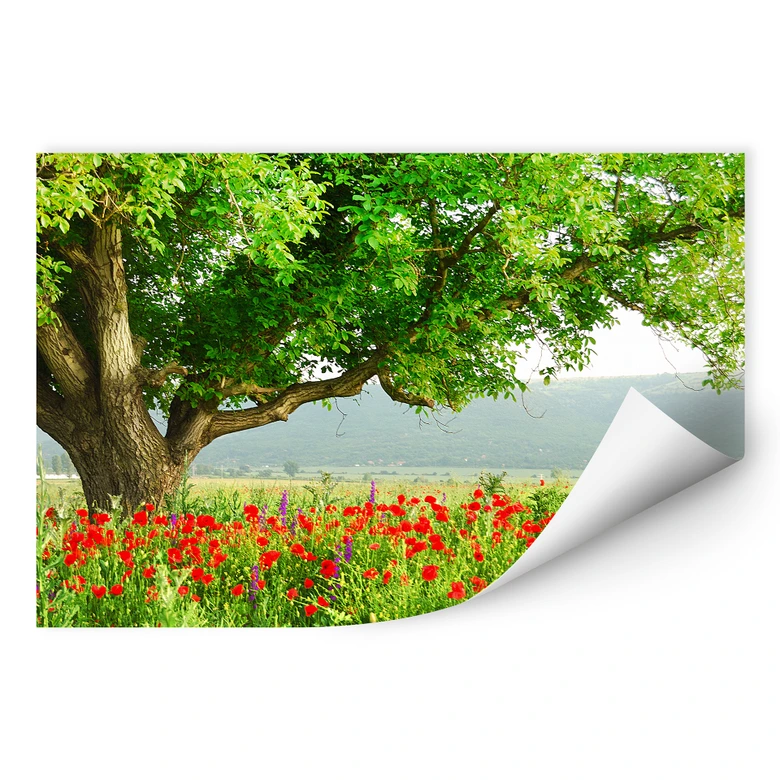 Wallprint - Sommererwachen 