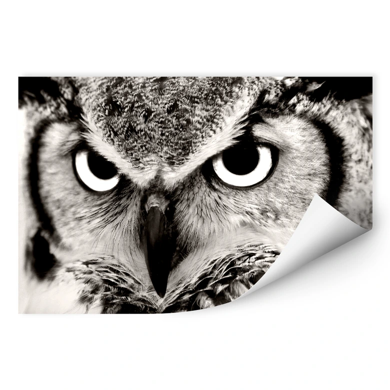 Wallprint - Stolze Eule 