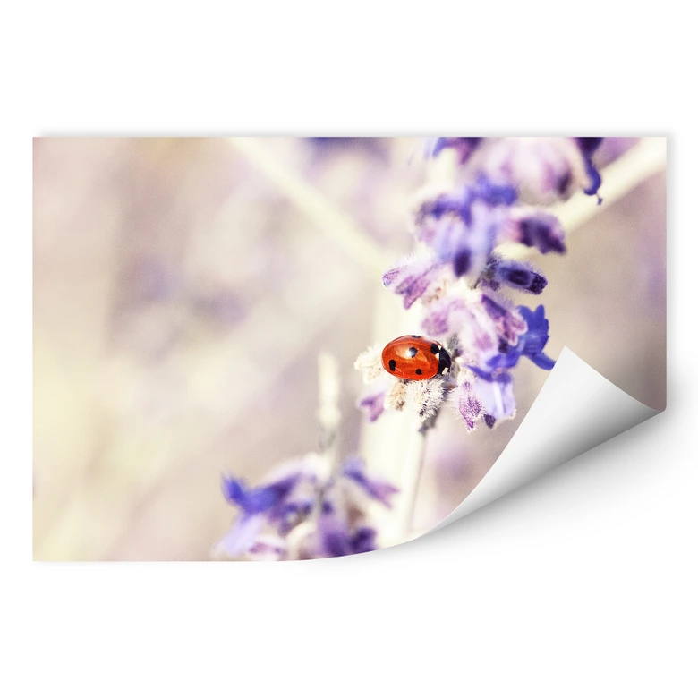 Wallprint - Little Friend 
