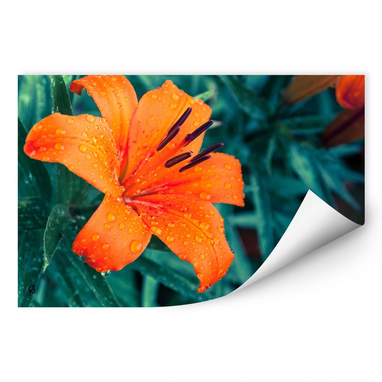Wallprint Tropical Lily 