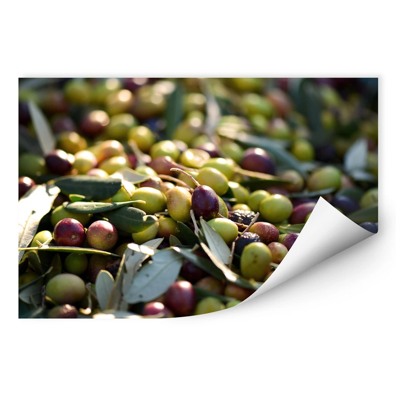 Wallprint Mediterrane Oliven 