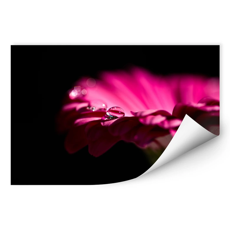 Wallprint Waterdrop of Life 