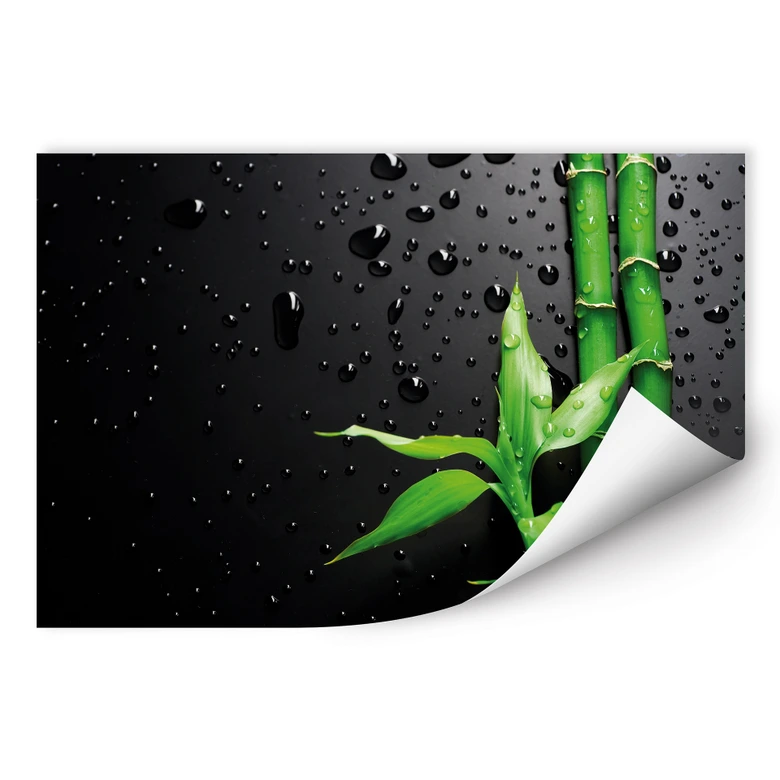 Wall print - Bamboo Over Black 