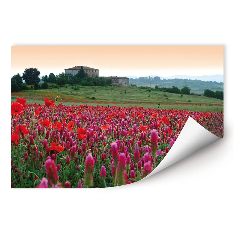 Muurprints Bloemen in Toscane 