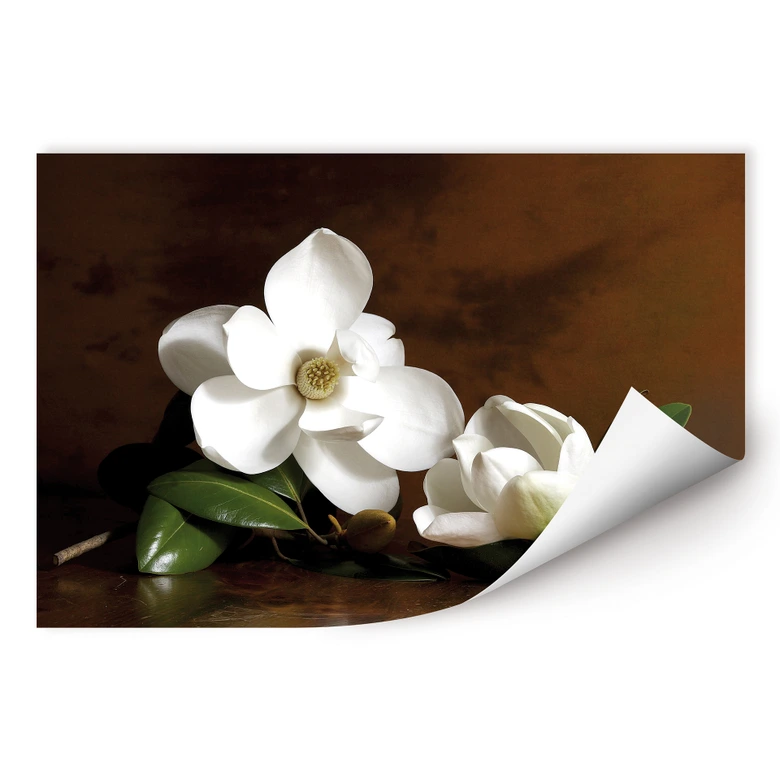 Wallprint - Magnolienzweig mit Blättern 