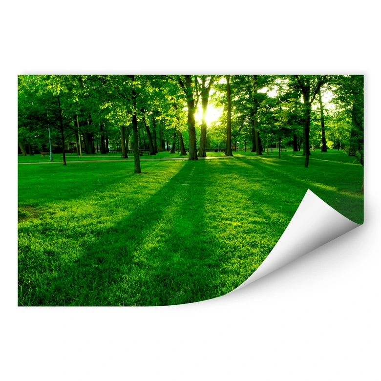 Zelfklevende Poster Park in het groen 
