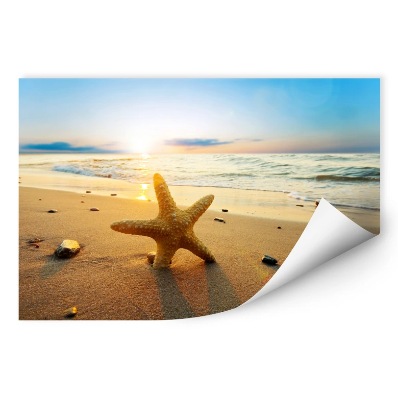 Wallprint - Seestern im Sand 