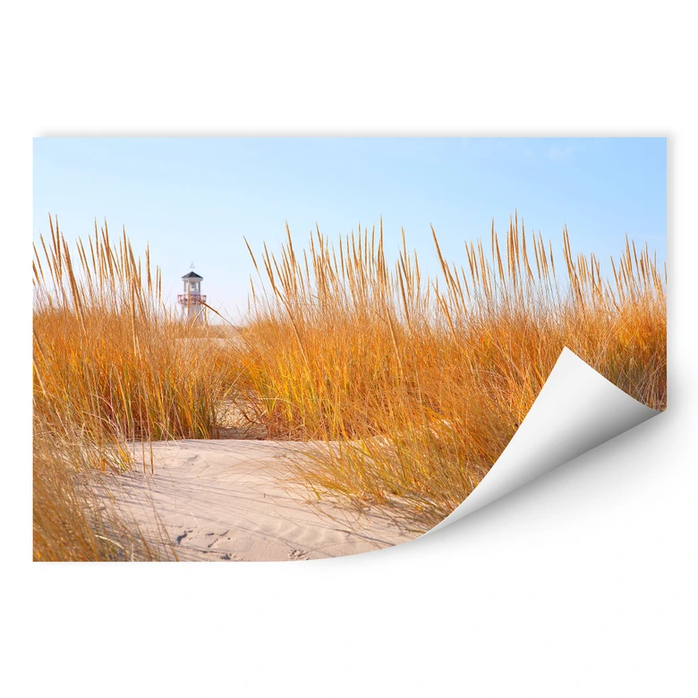 Wallprint - Leuchtturm im Strandfeld 