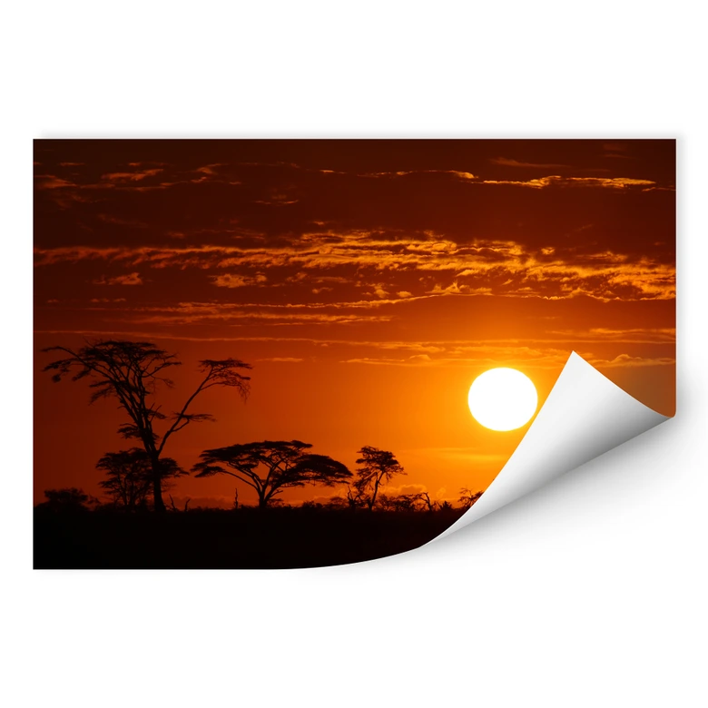 Wall print - African Steppe 