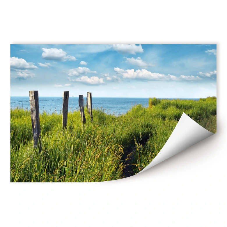 Wallprint - Weg zum Meer 