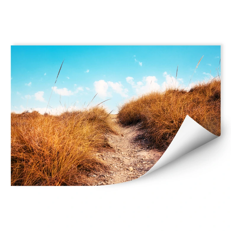 Wallprint - Strandaufgang 