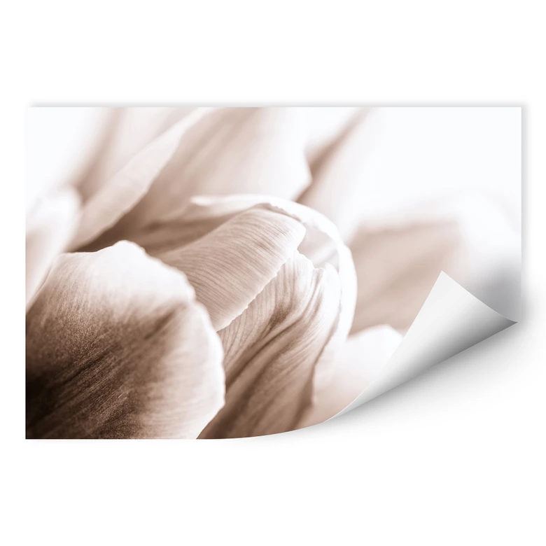 Wallprint W - Tulpe im Detail 