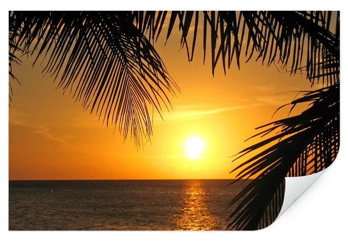 Wallprint W - Unter Palmen 