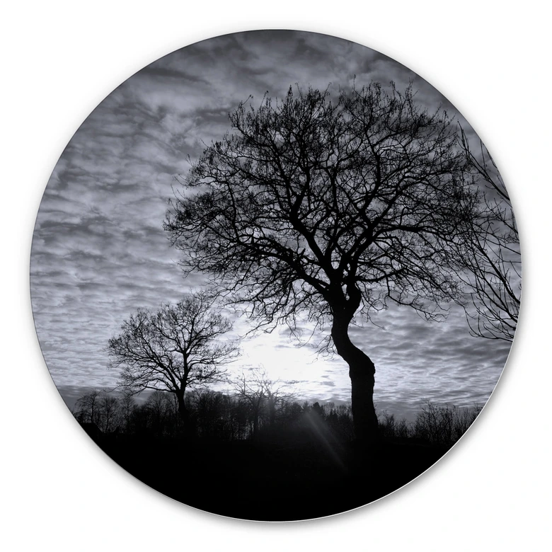Alu-Dibond Black and White Sunset - Rund 