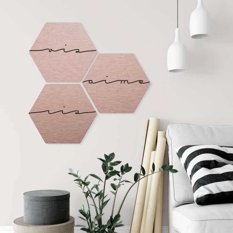 Hexagon - Alu-Dibond-Kupfereffekt - Vis ris aime (3er Set) 