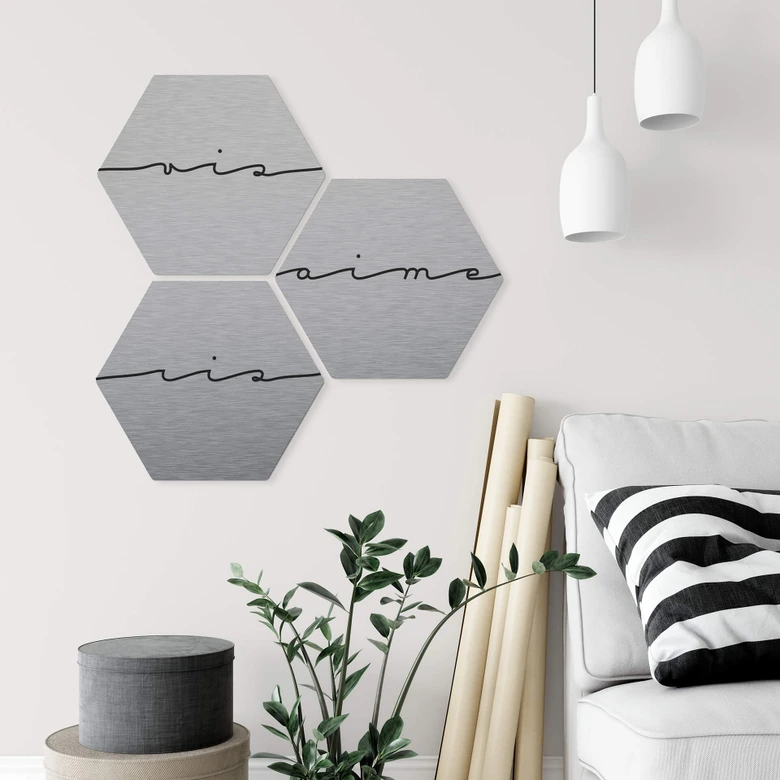Hexagon - Alu-Dibond-Silbereffekt - Vis ris aime (3er Set) 