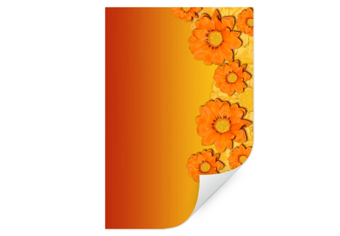 Muurprints Oranje Bloemen 