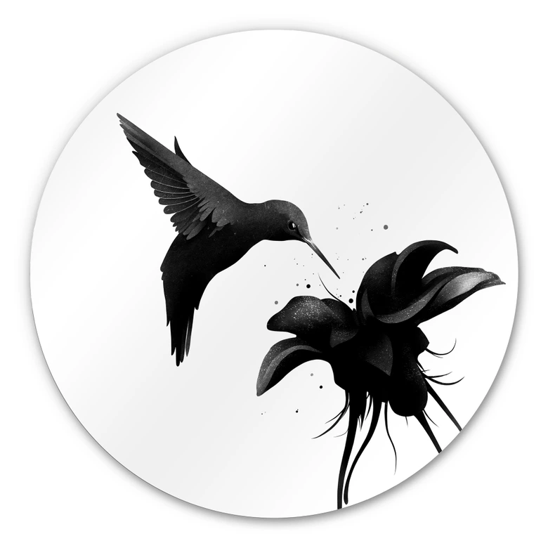 Alu-Dibond rond - Ireland - Kolibrie 