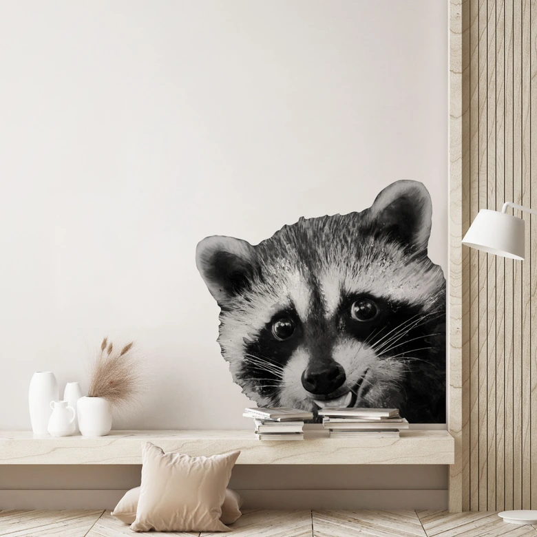 Wall sticker Racoon - Graves 