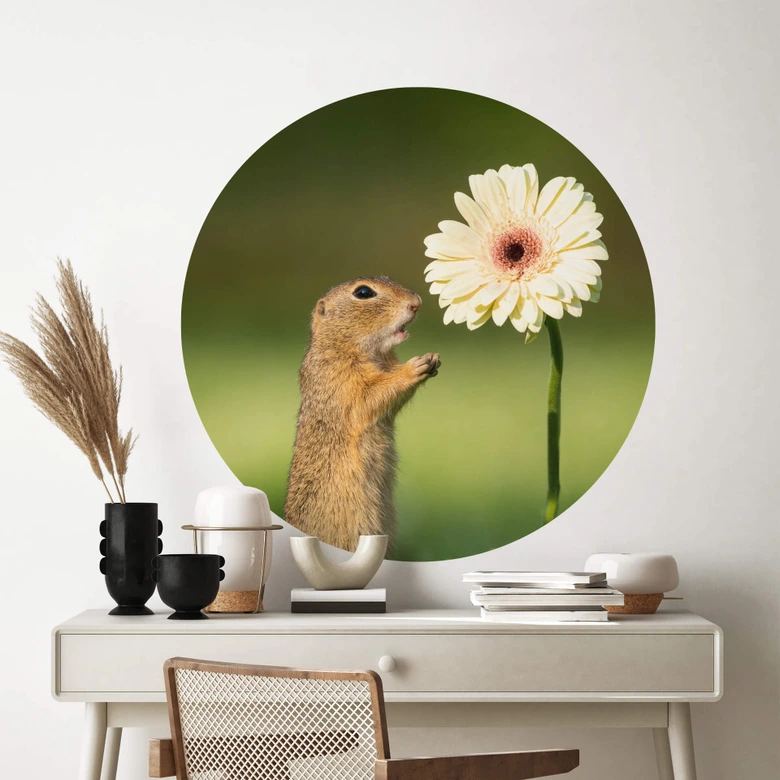 Wandtattoo van Duijn - Erdhörnchen mit Gerbera - Rund 
